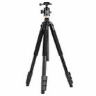 Q338 4-Section Folding Legs Live Broadcast Aluminum Alloy Tripod Mount With Ball Head - 1