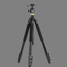 Q338 4-Section Folding Legs Live Broadcast Aluminum Alloy Tripod Mount With Ball Head - 2