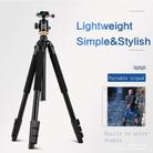 Q338 4-Section Folding Legs Live Broadcast Aluminum Alloy Tripod Mount With Ball Head - 2