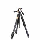 Q620 4-Section Folding Legs Heavy Duty Aluminum Alloy Tripod With Three-Dimensional Damping Tripod Heads - 1