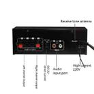 G20 Smart Digital Power Amplifier Built-In Bluetooth / USB / SD / FM Power Amplifier, EU Plug - 4