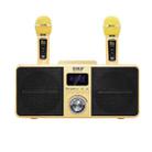SDRD SD309 Wireless Microphone Bluetooth Audio All-In-One Machine(Golden) - 1