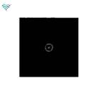 Wifi Wall Touch Panel Switch Voice Control Mobile Phone Remote Control, Model: Black 1 Gang (Single Firewire Zigbee) - 1
