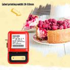 NIIMBOT B21 Small Production Date Marking Machine Baking Cake Bakery Price Labeling Machine, Specification: Standard + 20 Rolls Labels - 4