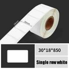Printing Paper Dumb Silver Paper Plane Equipment Fixed Asset Label for NIIMBOT B50W, Size: 30x18mm White - 1