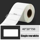 Printing Paper Dumb Silver Paper Plane Equipment Fixed Asset Label for NIIMBOT B50W, Size: 40x20mm White - 1