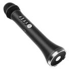 FM Radio Frequency Connection Car Home Entertainment Wireless Integrated Microphone Audio(Black) - 1