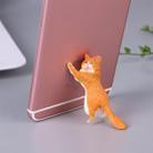 60 PCS Sucker Design Cute Cat Smartphone Holder(Orange) - 1