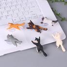 60 PCS Sucker Design Cute Cat Smartphone Holder(Orange) - 3