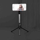 XT10 Bluetooth Tripod Selfie Stick Live Mobile Phone Holder(Black) - 1