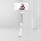 XT10 Bluetooth Tripod Selfie Stick Live Mobile Phone Holder(White) - 1