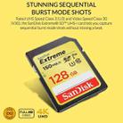 SanDisk Video Camera High Speed Memory Card SD Card, Colour: Gold Card, Capacity: 64GB - 3