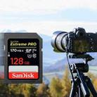 SanDisk Video Camera High Speed Memory Card SD Card, Colour: Black Card, Capacity: 32GB - 5
