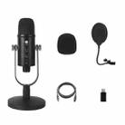 BM-86 USB Condenser Microphone Voice Recording Computer Microphone Live Broadcast Equipment Set, Specification: Standard+Small Blowout Prevention Net - 1