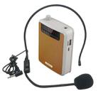 Rolton K300 Portable Voice Amplifier Supports FM Radio/MP3(Orange) - 1