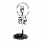 JM03 11 Inch 3 Position Fill Light Beauty Selfie Desktop Bracket Live Broadcast Integrated Floor LED Light(Black) - 1