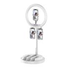 JM03 11 Inch 3 Position Fill Light Beauty Selfie Desktop Bracket Live Broadcast Integrated Floor LED Light(White) - 1