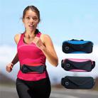 Sports Running Mobile Phone Waterproof Waist Bag, Specification:iPhone Universal(Blue) - 6