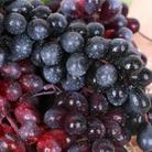 4 Bunches 60 Granules Agate Grapes Simulation Fruit Simulation Grapes PVC with Cream Grape Shoot Props - 4