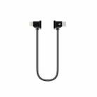 Sunnylife TY-X9304 Suitable For DJI Mavic Air 2S / DJI FPV Flight Glasses V2 / Mavic Mini2 / Osmo Pocket 2 Mobile Phone Tablet Cable 30cm Type-C to 8 Pin Cable - 1