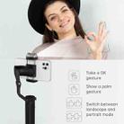 Hohem ISteady V2 Smartphone 3-Axis Gimbal Stabilizer AI Visual Tracking LED Video Light,Style:  White - 6