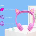 LX-K06 3.5mm Wired Children Learning Luminous Cat Ear Headset, Cable Length: 1.2m(Purple) - 4