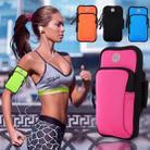 Sport Armband Waterproof Phone Holder Case Bag for 4-6 inch Phones(Black) - 6