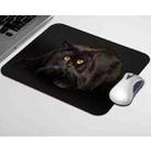 3 PCS Small Animal Pattern Rectangular Office Non-Slip Mouse Pad, Size:  Overlock 180 x 220mm(Pattern 4) - 1