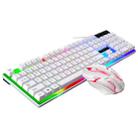 ZGB G21B Colorful Glow USB Wired Keyboard Mouse Set(White) - 1
