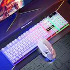 Skylion H600 1600dpi 104-Keys Wired Luminous Keyboard Manipulator Gaming Keyboard, Colour: Mouse And Keyboard (White Rainbow) - 1