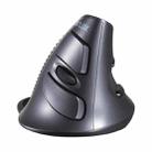 DELUX M618 6-Keys Vertical Snail Ergonomic Wireless Mouse(Black) - 1