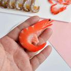 3 PCS Simulation Shrimp Camera Props Children Play House Toys(Big Red Shrimp) - 4