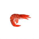 3 PCS Simulation Shrimp Camera Props Children Play House Toys(Big Grilled Shrimp) - 1