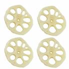 10 PCS Root Simulation Food Model Photo Photography Props - 1