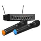 S-16-1 Household Smart TV U Segment Bluetooth Wireless Microphone With Tuning Reverberation 1 In 2, US Plug - 1