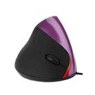 JSY-12 5 Keys USB Wired Vertical Mouse Ergonomic Wrist Brace Optical Mouse(Purple) - 1