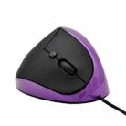 JSY-05 6 Keys Wired Vertical Mouse Ergonomics Brace Optical Mouse(Purple) - 1