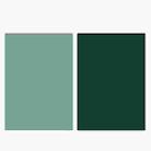 2 PCS Double-Sided Photo Background Paper Thickening Morandi Series Shoot Props(Green Series (Shallow+Dark)) - 1