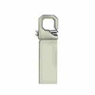 ZHP250 USB 2.0 Keychain Waterproof USB Flash Drive, Capacity:4GB(Silver) - 1