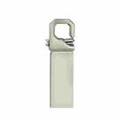 ZHP250 USB 2.0 Keychain Waterproof USB Flash Drive, Capacity:32GB(Silver) - 1