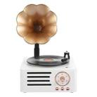 T15 Petunia Retro Vinyl Record Player Wireless Multifunction Mini Bluetooth Audio(White) - 1