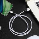 4 PCS 2.4A USB-C / Type-C to USB Braided Fast Charging Sync Data Cable, Length: 0.25m (Silver) - 2