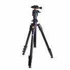 FB FB-Q36D Aluminum Tripod Mount Bracket - 1