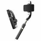 CYKE Q08D Handheld Dual Light Bluetooth Mobile Phone Selfie Stick(Black) - 1