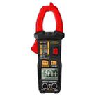 ANENG ST193 Intelligent Automatic Multifunctional AC And DC Clamp Digital Meter - 1