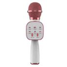 DS813 Live Wireless Bluetooth Microphone(Pink) - 1