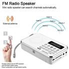 L-938 FM AM Rechargeable Radio Supports Card MP3 Playback(Pink) - 4