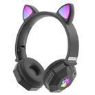 LS020 Glowing Folding Cat Ears Wireless Bluetooth Sports Headset(Black) - 1