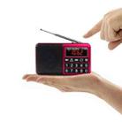 Y-928 FM Radio LED Display MP3 Support  TF Card U Disk(Red) - 3