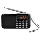 L-218AM  MP3 Radio Speaker Player Support TF Card USB with LED Flashlight Function(Black) - 1